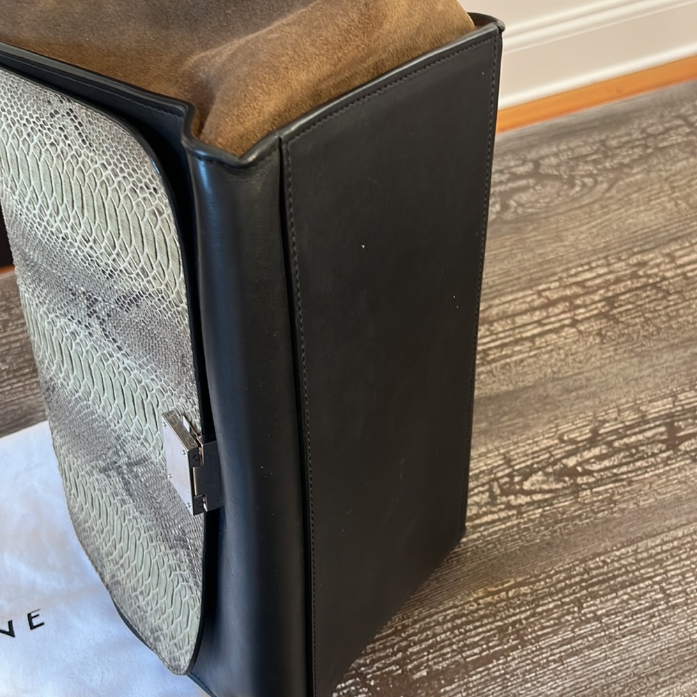 Trapze Python Cline Bag - image 4